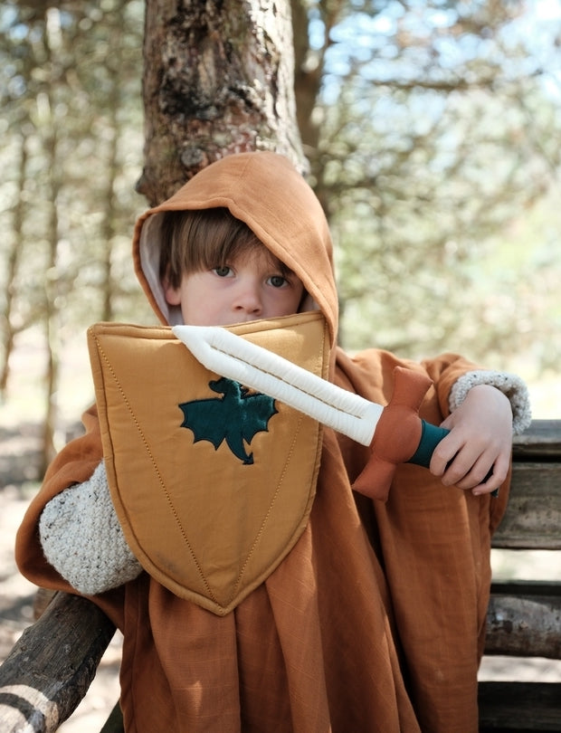 Shield & Sword costume