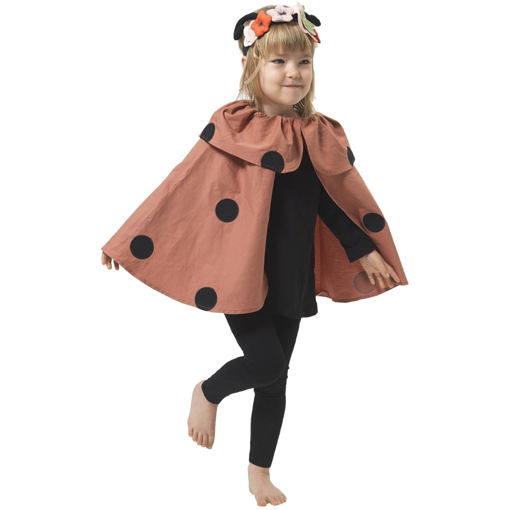 Dress-up Ladybug set
