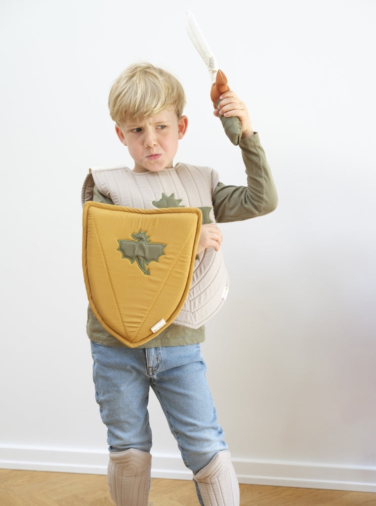 Dress-up Knight Armour set costume