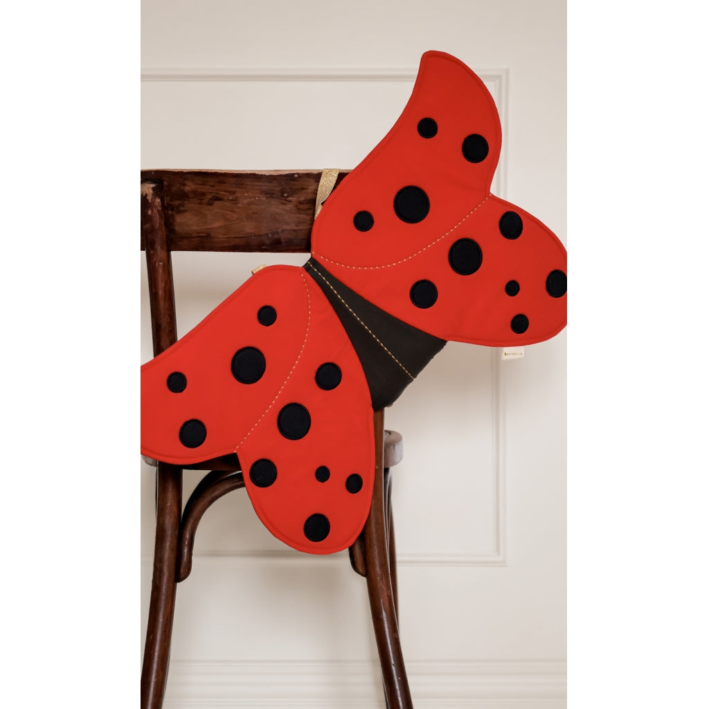 Dress-up Wings - Ladybug