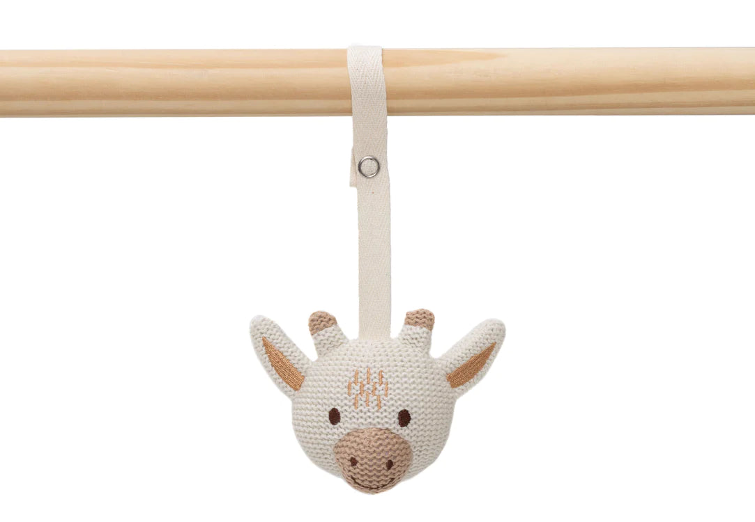 Babygym Toys Animals
