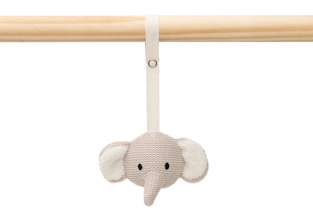 Babygym Toys Animals