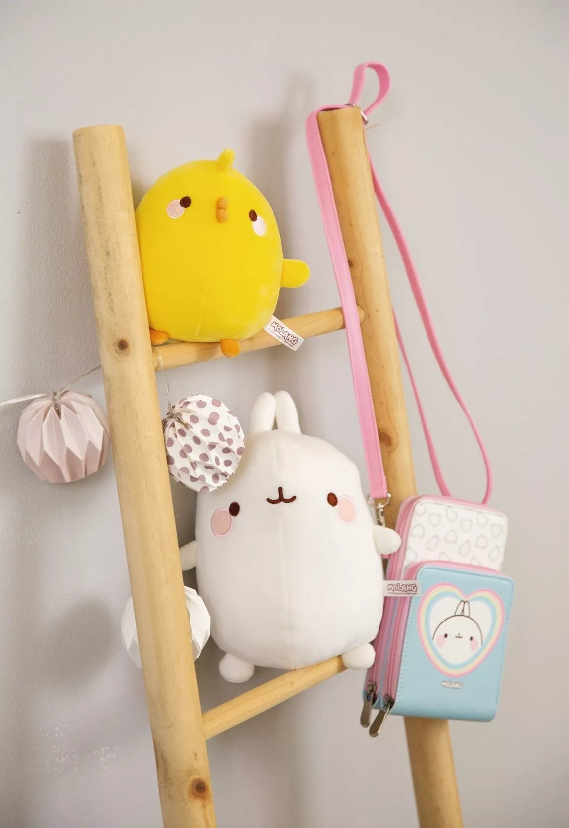 Molang 24cm in gift packaging