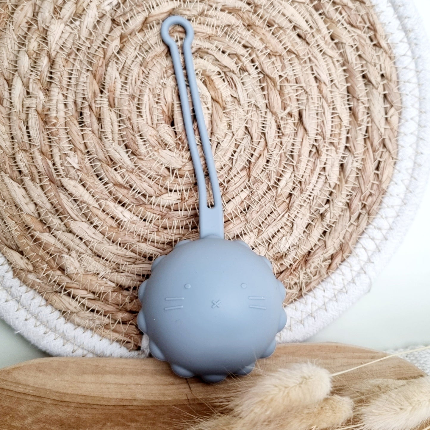 Silicone Pacifier Case, Little Lion - Powder Blue