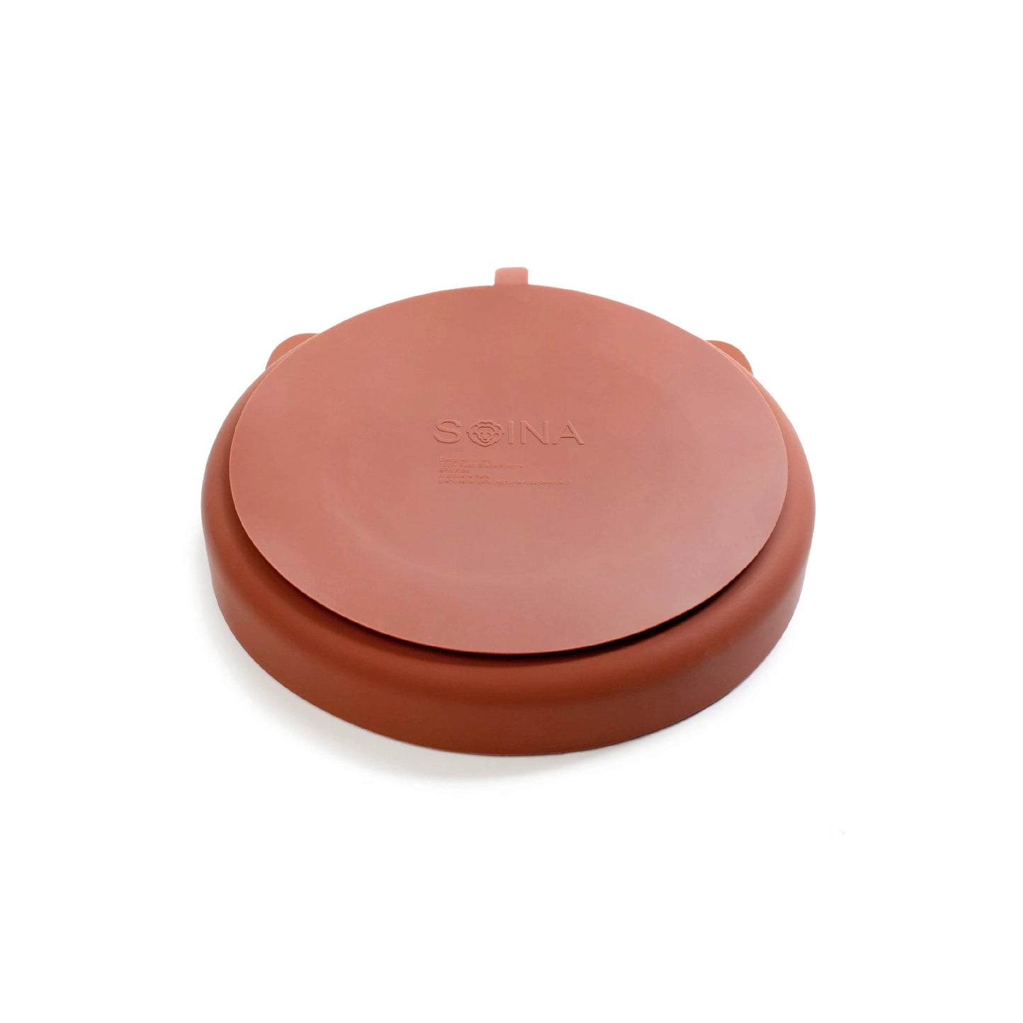 Silicone Divided Plate with Suction Cup