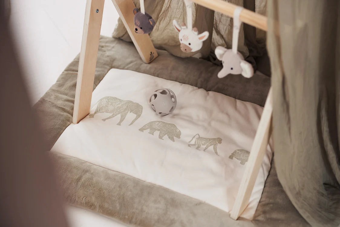 Babygym Toys Animals