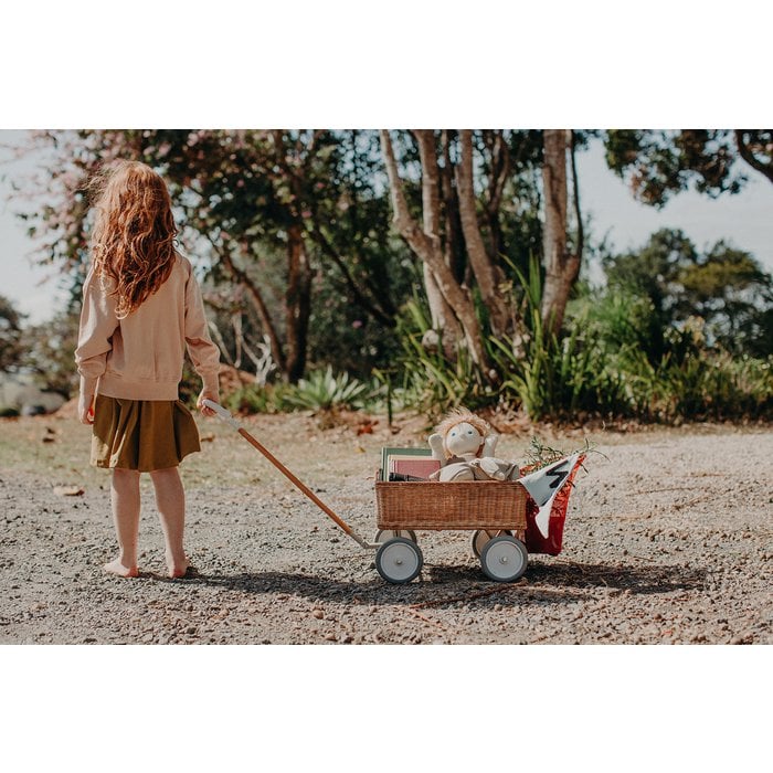 Rattan Wonder Wagon