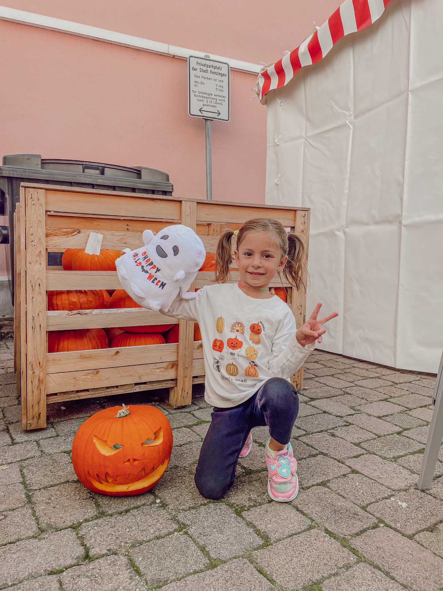 Milkshake the Ghost, plush toy - Reversible!