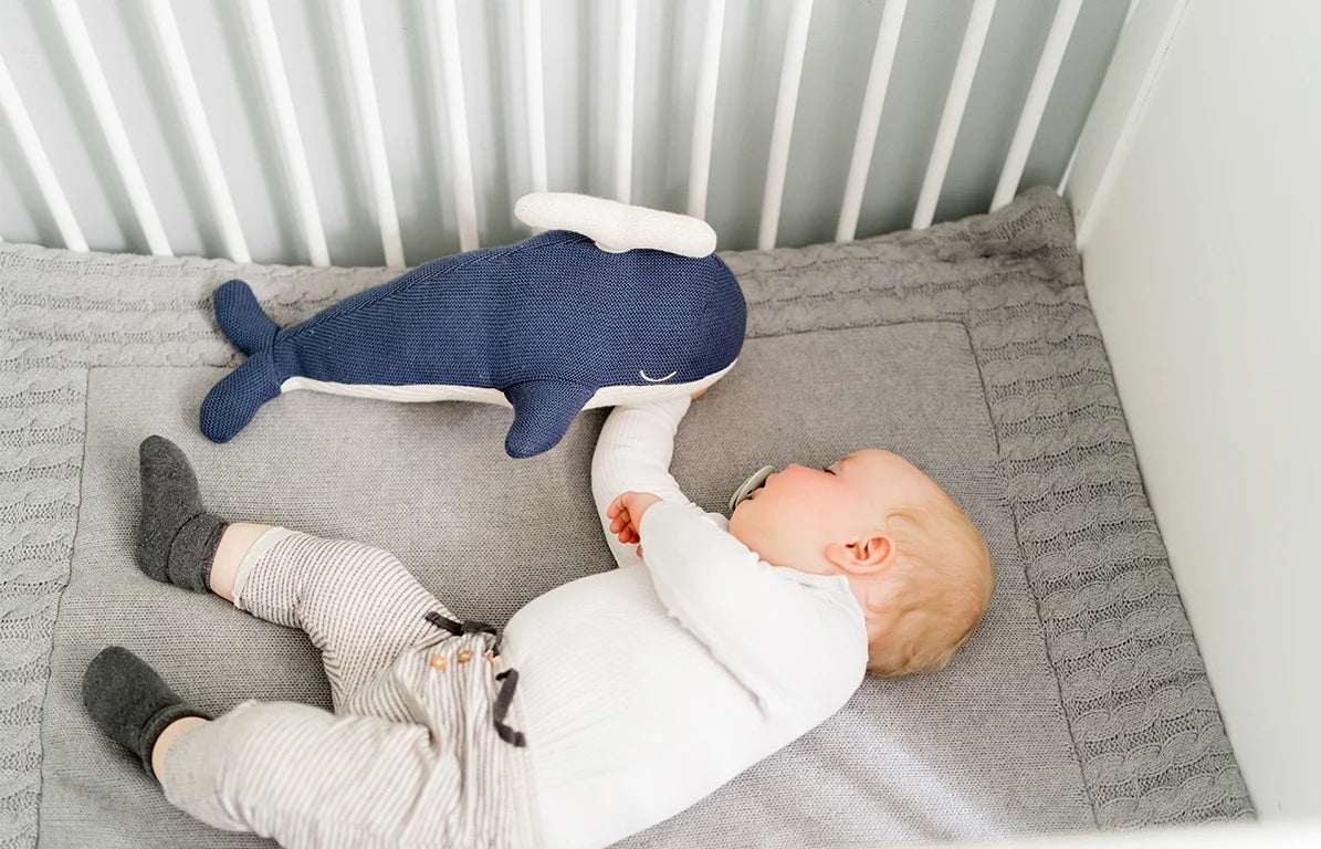 Soft Toy Whale Wheely