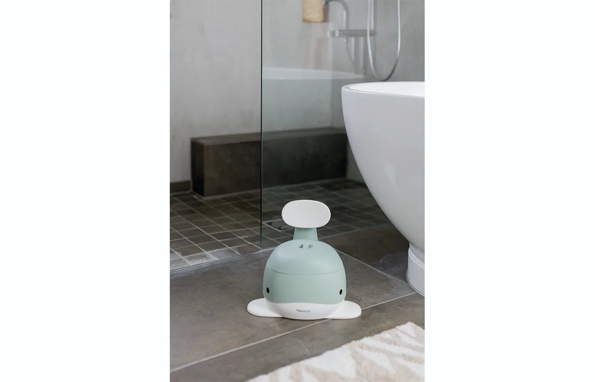 Children's Potty, various colors