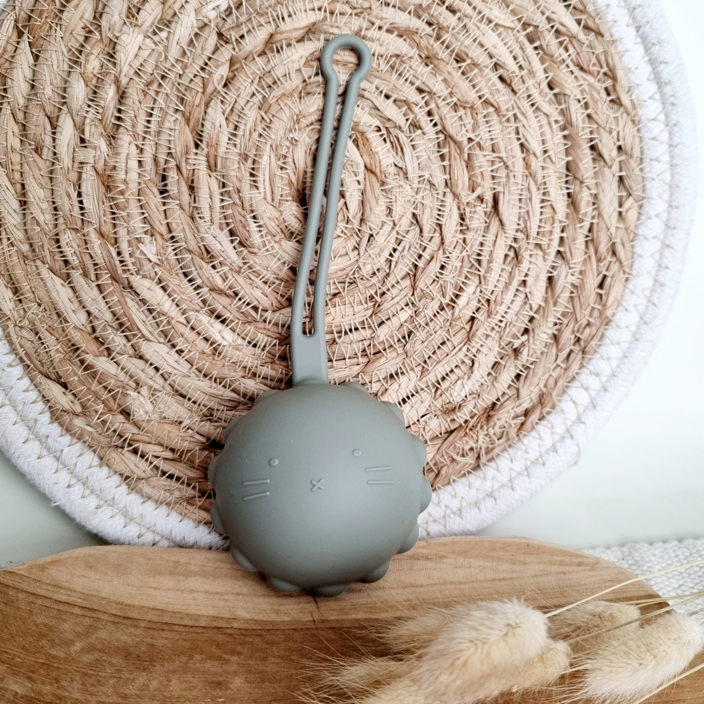 Silicone Pacifier Case, Little Lion - Sage