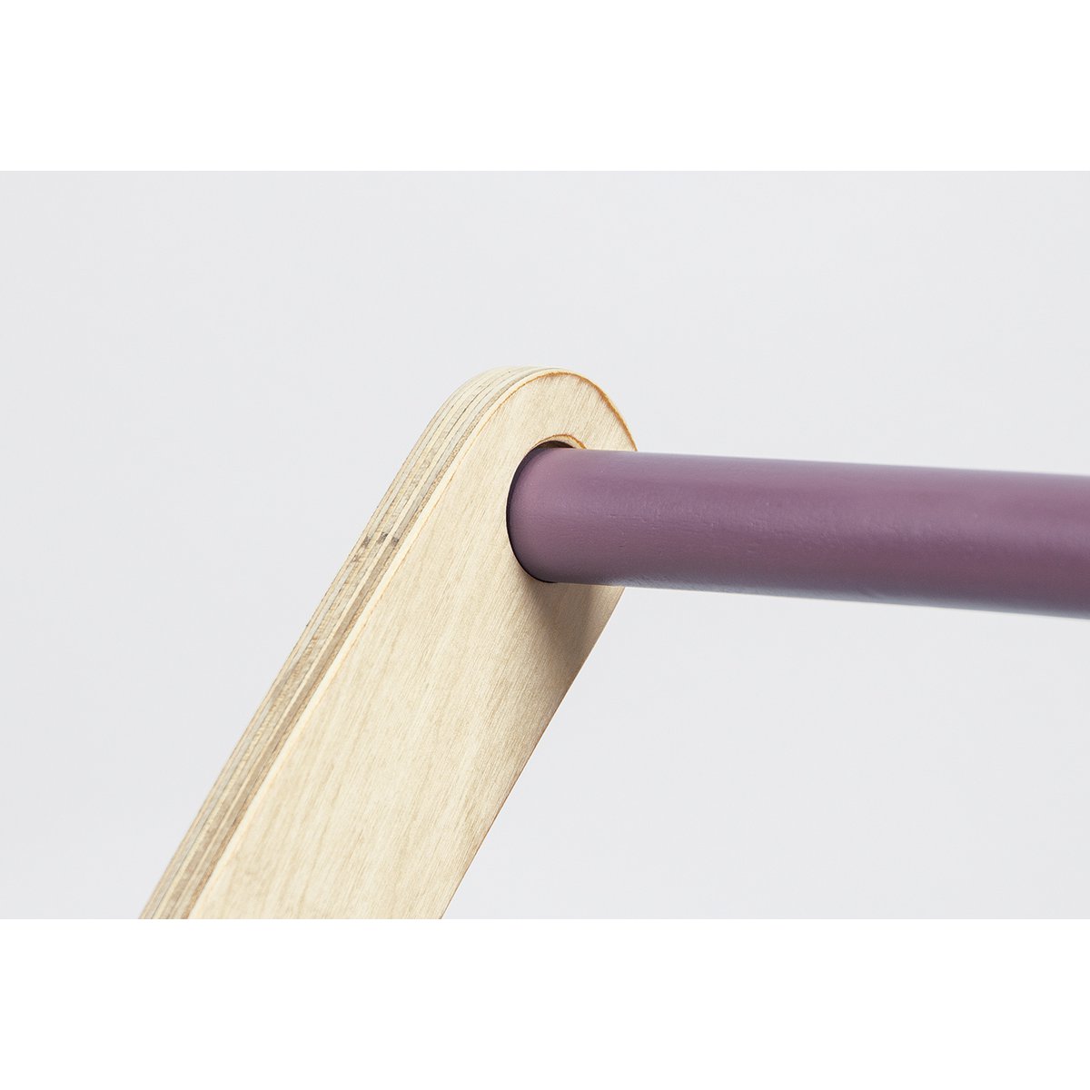 Learning walker 'Fiete', blackberry