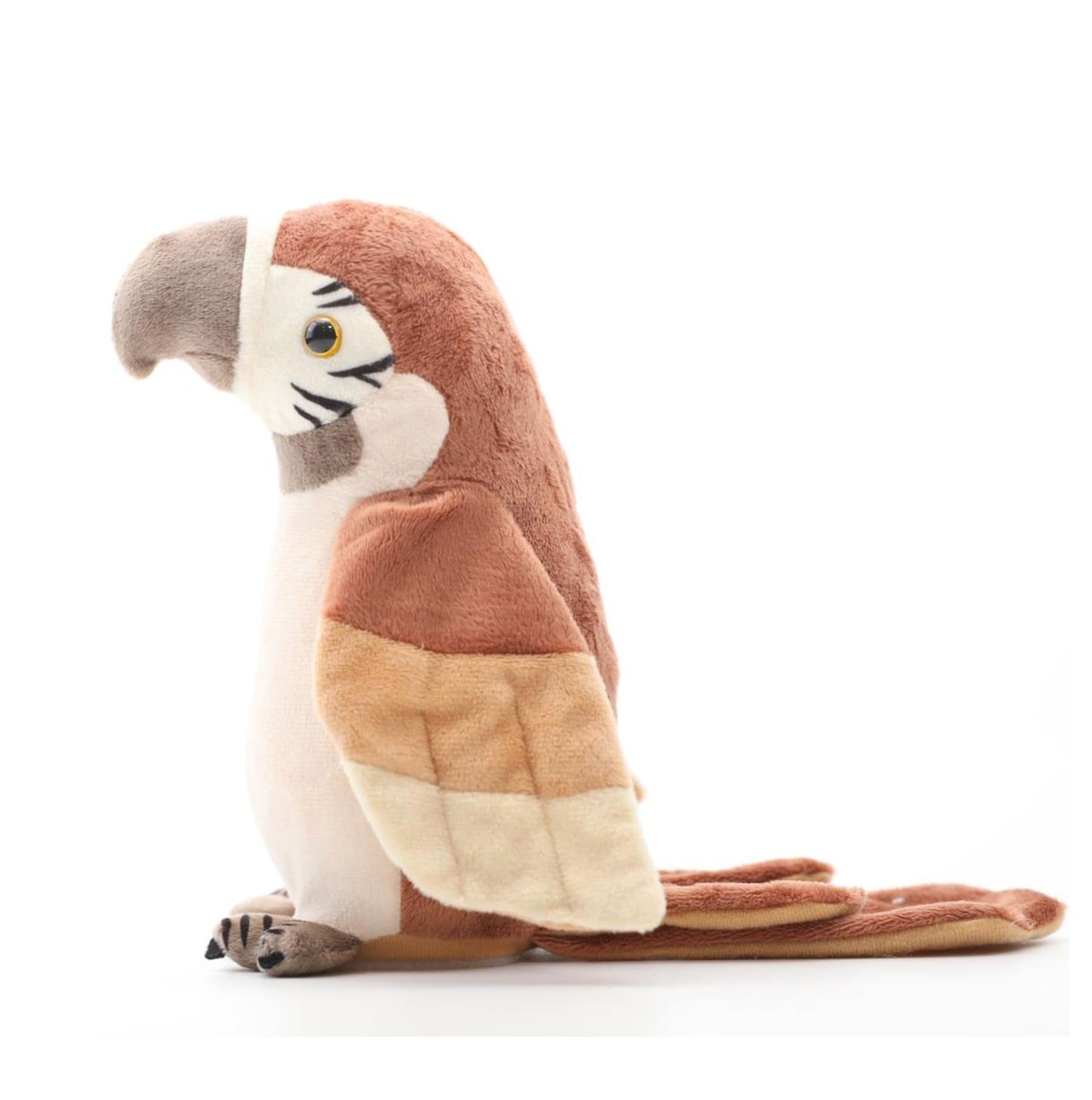 Pierre - The talking parrot