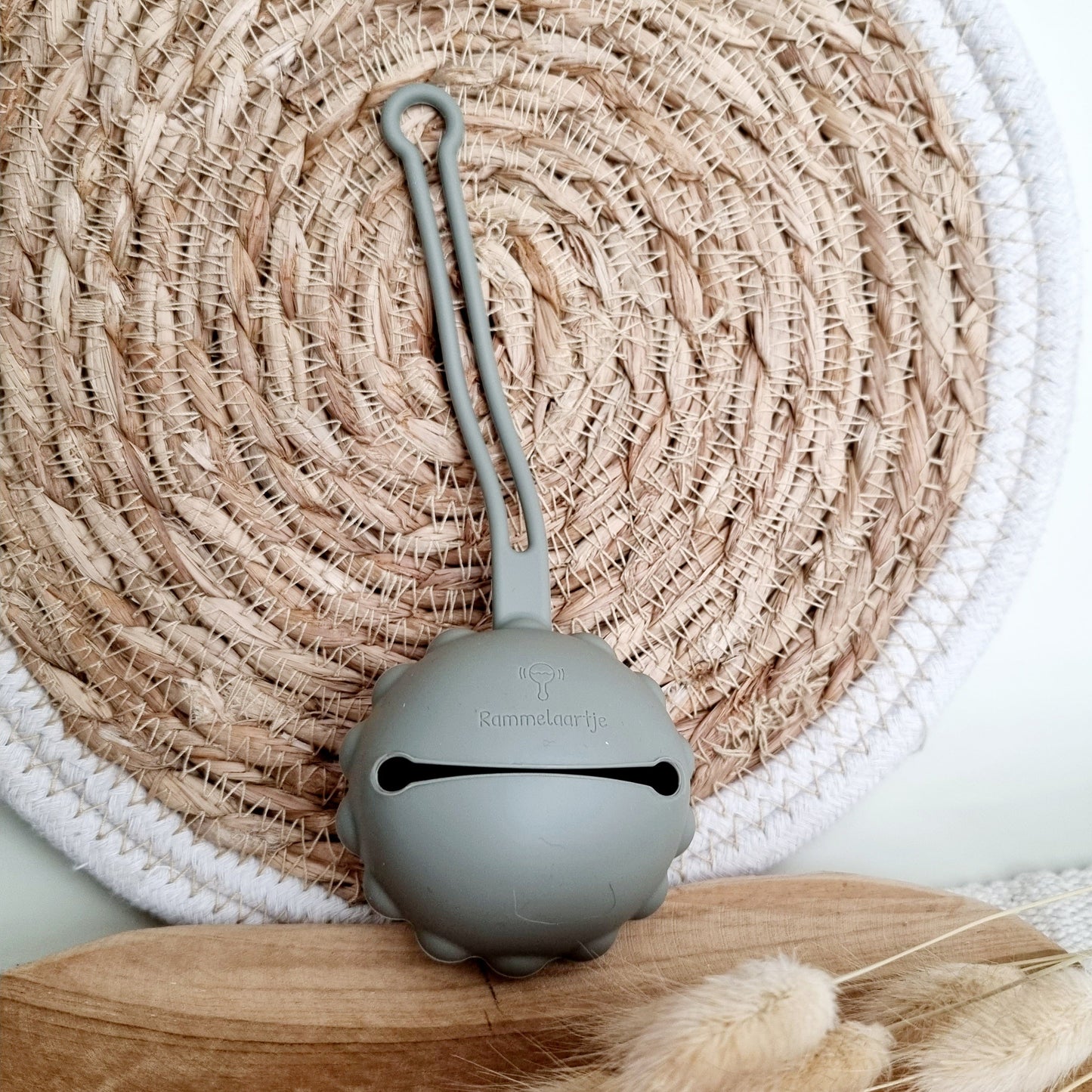 Silicone Pacifier Case, Little Lion - Sage