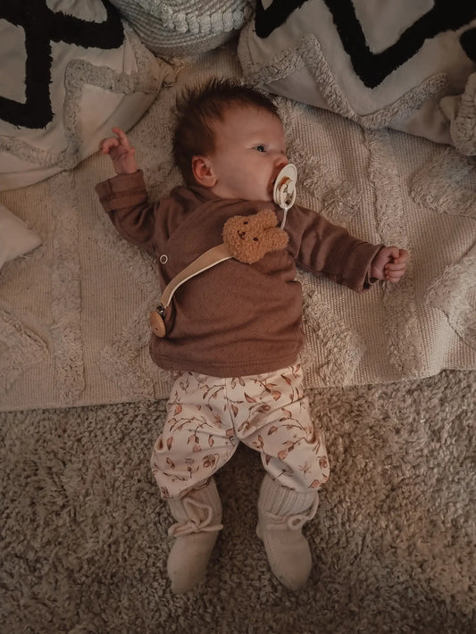 Teddy Pacifier Clip