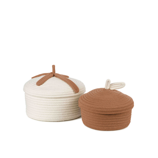Bowie, baskets terra