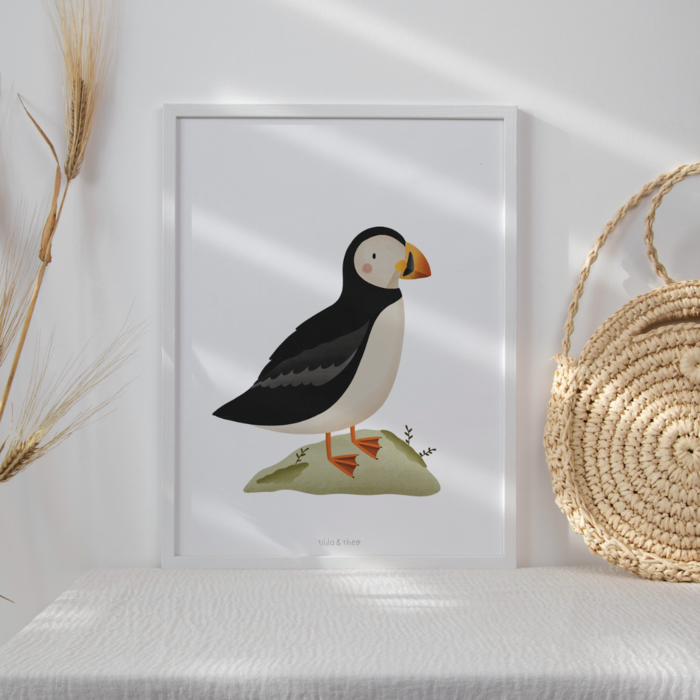 Poster Puffin / Puffin - Iceland