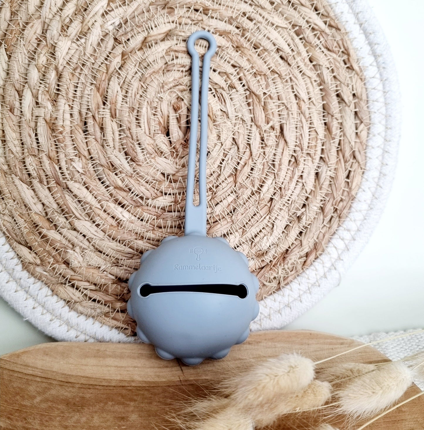 Silicone Pacifier Case, Little Lion - Powder Blue