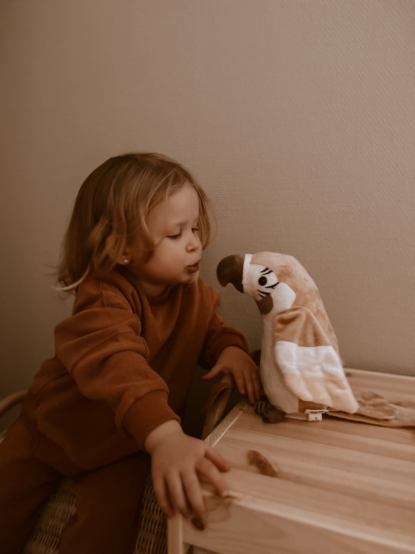 Pierre - The talking parrot