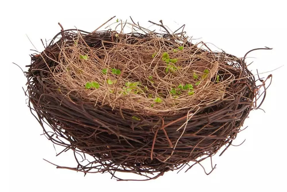 Natural Easter nest with grass - large