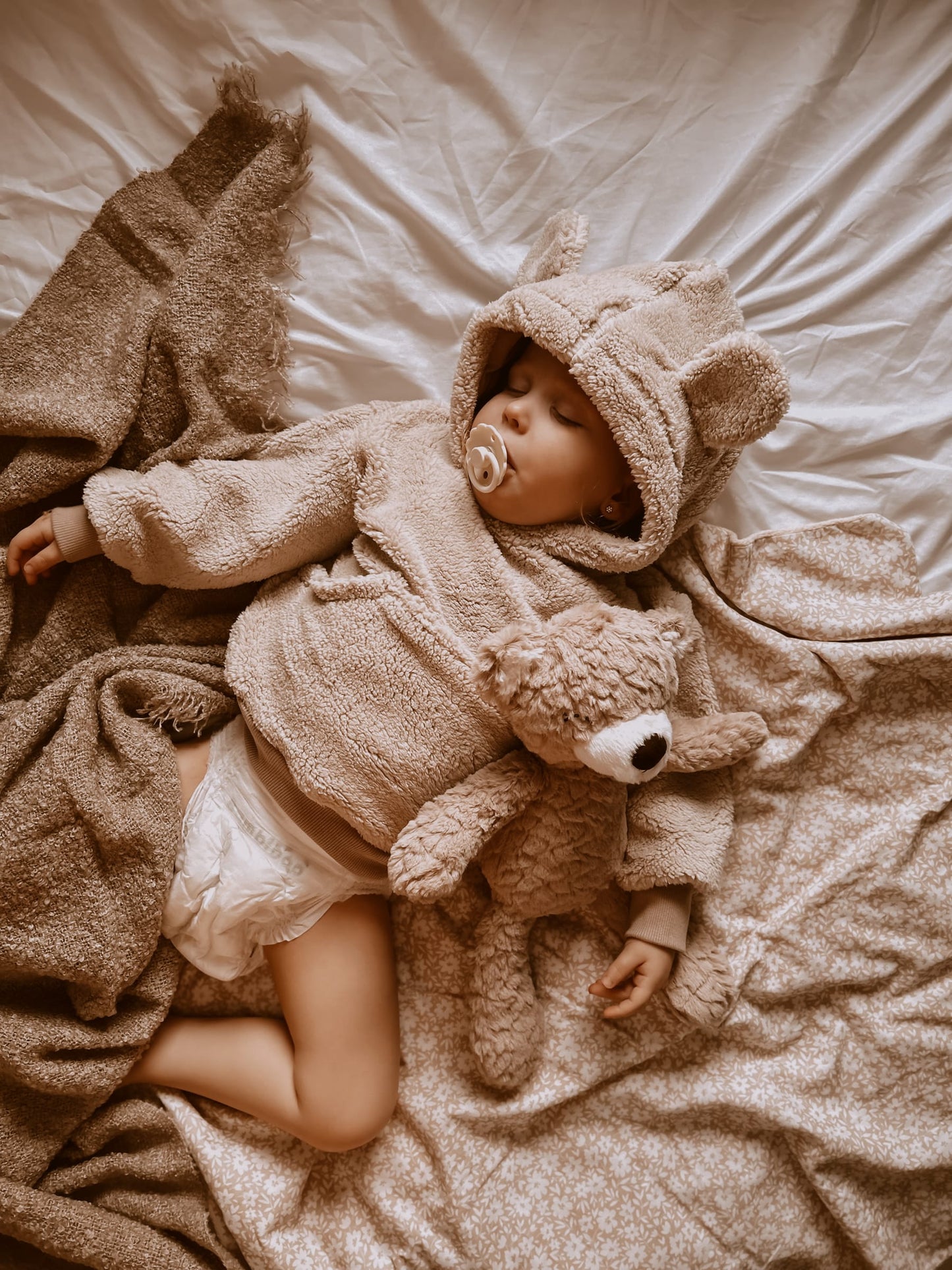 Mr. Pyxie - Teddy