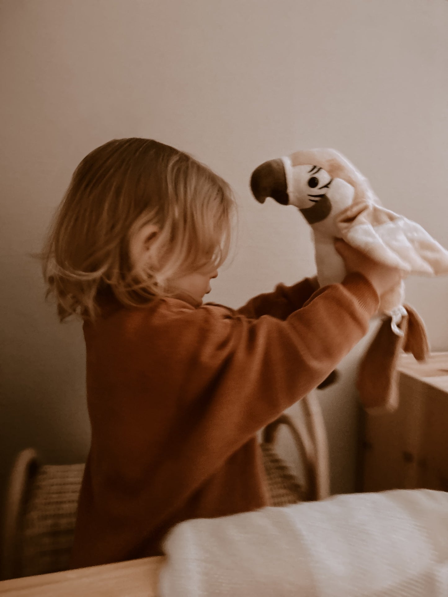 Pierre - The talking parrot