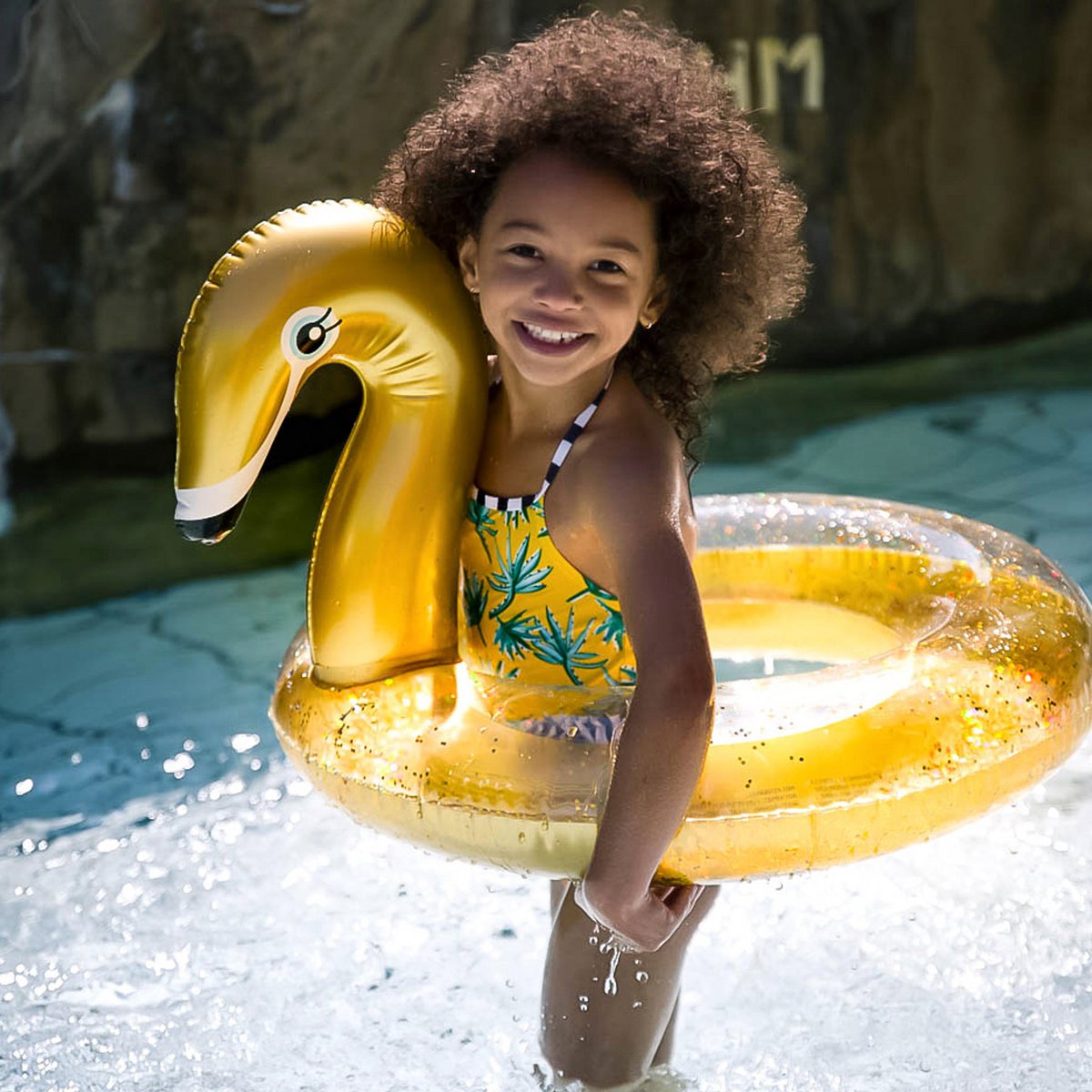Golden Swan swimming ring