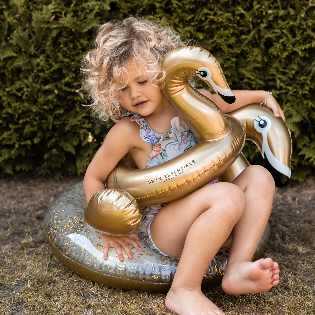 Golden Swan swimming ring
