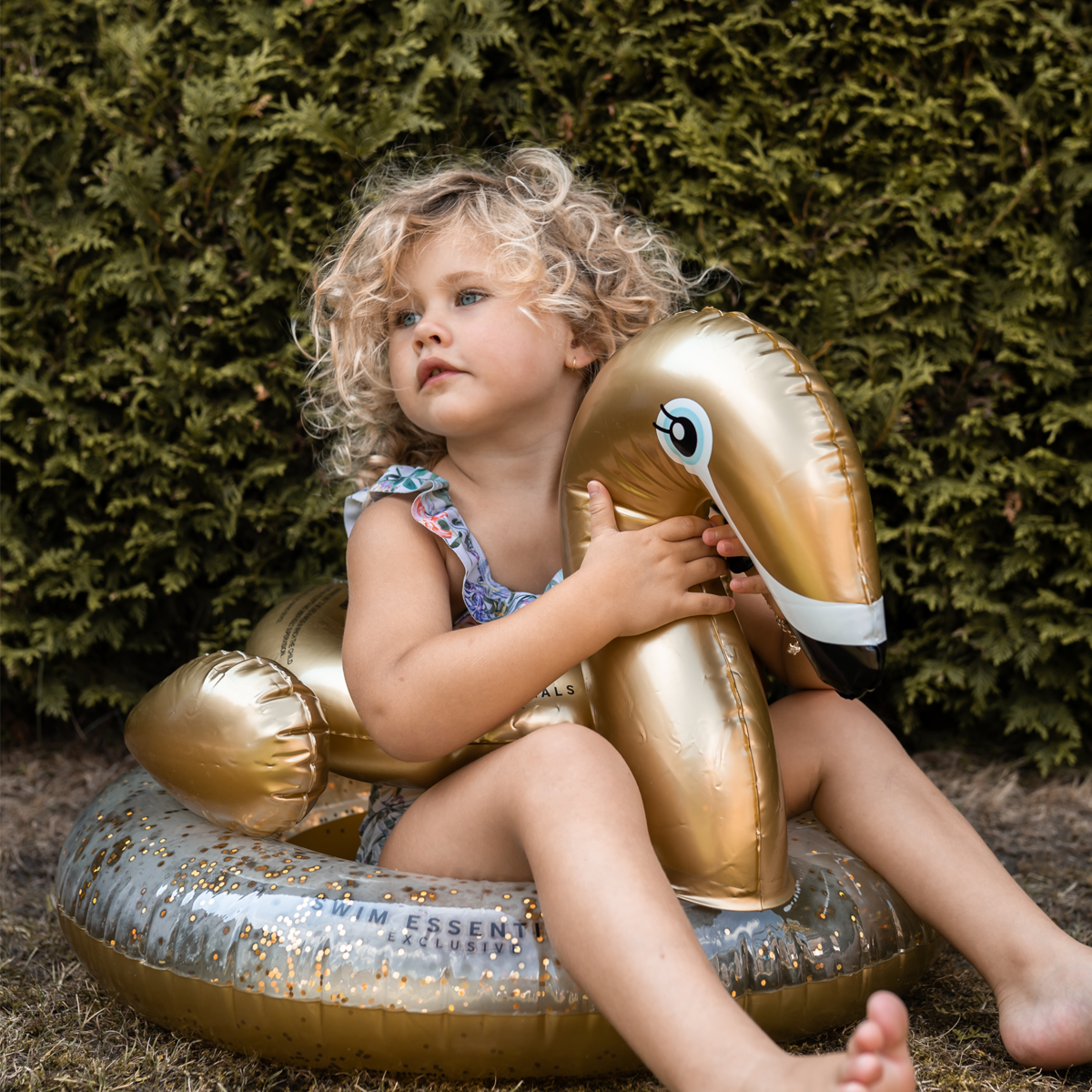 Golden Swan swimming ring