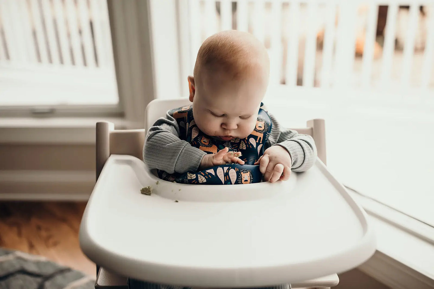 Zoo Lion Print Silicone Bib with Crumb Catcher