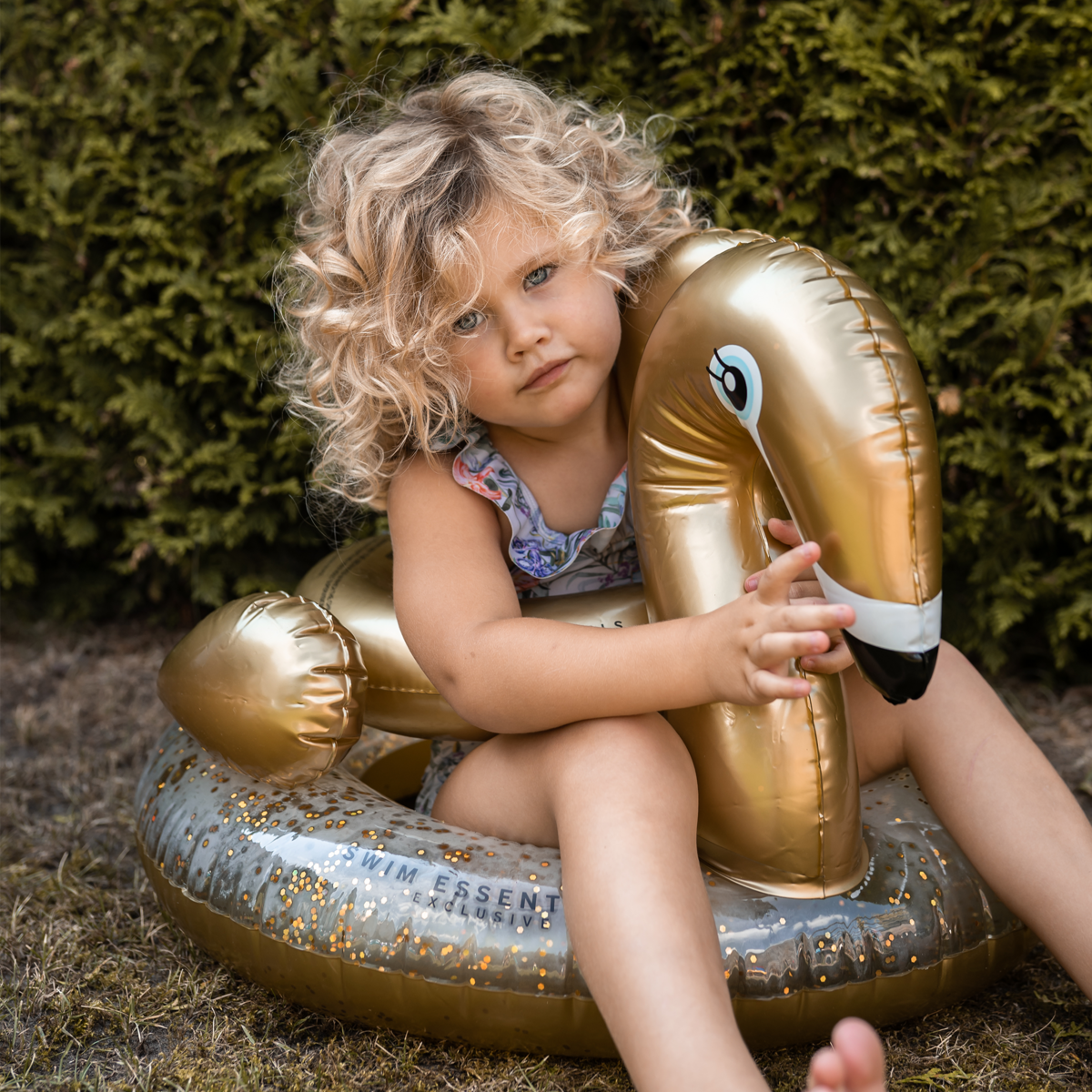 Golden Swan swimming ring