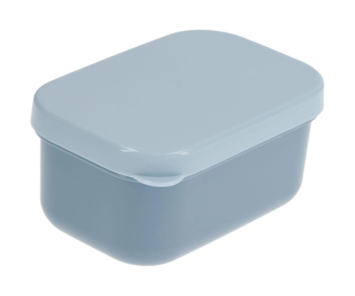 Bento Leaves Blue Lunch Box