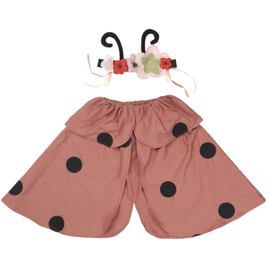 Dress-up Ladybug set