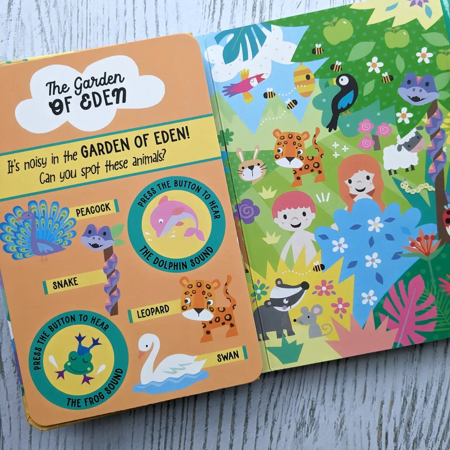 12 Button Sound Book - Bible