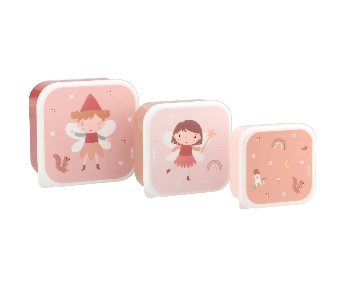 3 Wild Fairies Lunch Boxes