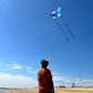Vibrant Butterfly Kite - Blue