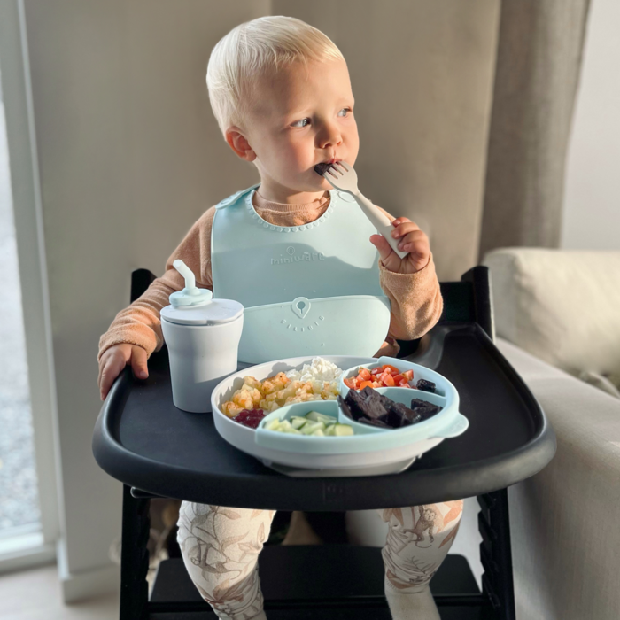 Healthy Meal Set - Baby Blue