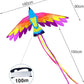 Vibrant Phoenix Kite 90 x 180 cm
