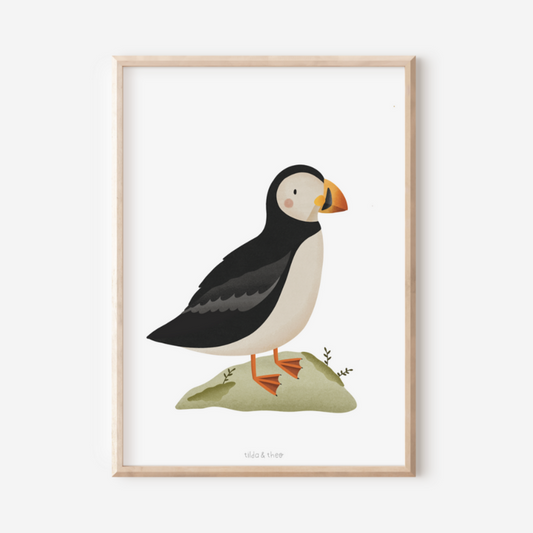 Poster Puffin / Puffin - Iceland