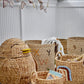 Dinne Basket, Nature, Seagrass