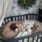 Babynest Teddy – beige / personalized