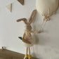 Upright Bunny Holding a Carrot - A Whimsical Springtime Friend