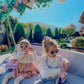 Baby and children's sunglasses UV400 daisy - taupe