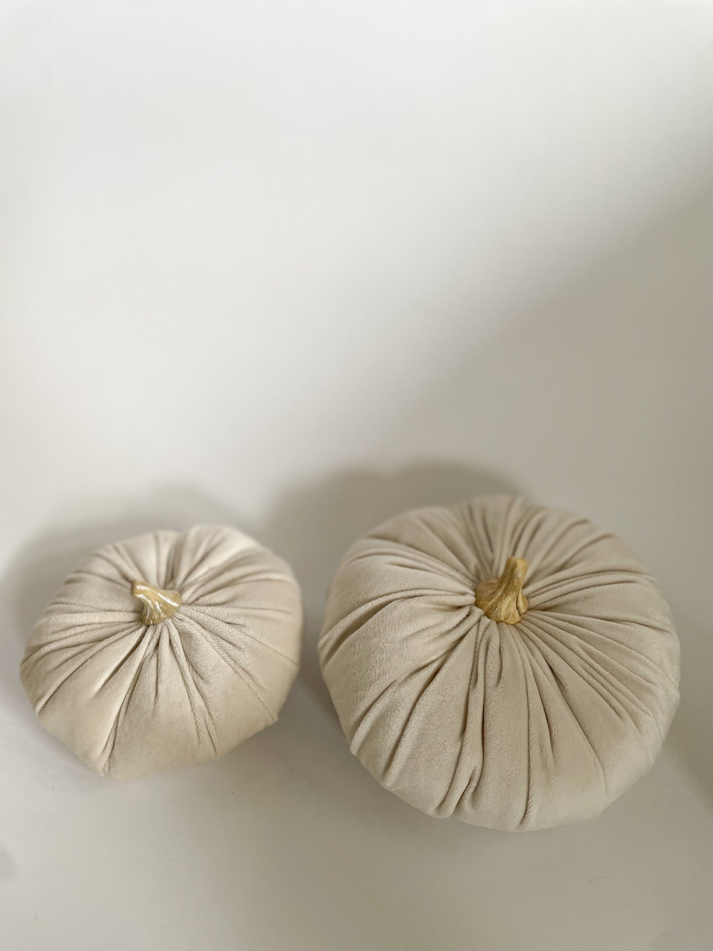 Velour Pumpkins Set of 2 - Beige