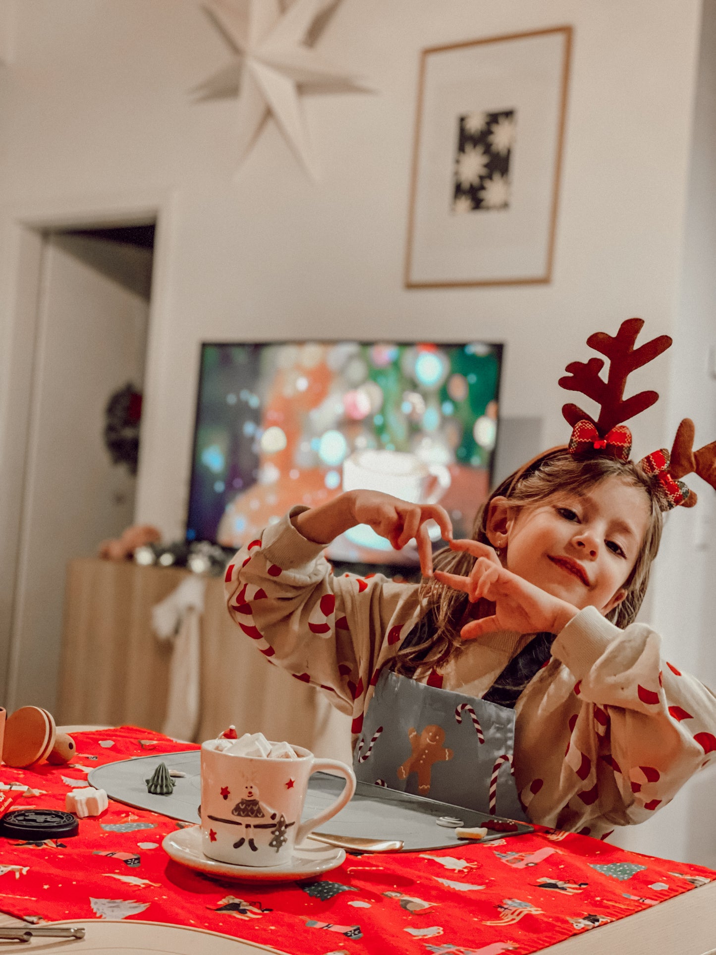 Festive Christmas Apron