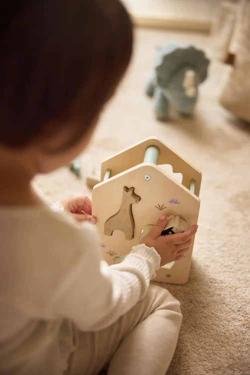 Wooden Shape Sorter - Jungle Jambo