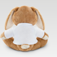 Personalized Plush Bunny – With Printable T-Shirt