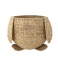 Pingo Basket w/Lid, Nature, Water Hyacinth