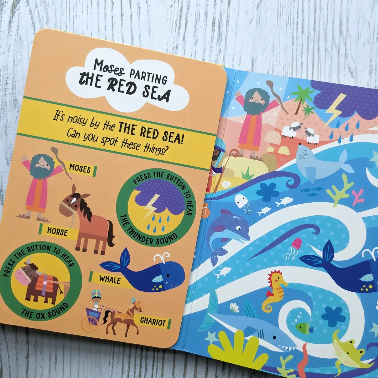 12 Button Sound Book - Bible