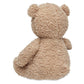 Stuffed Animal Teddy Bear - Biscuit